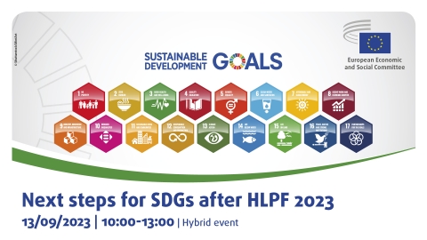 Scopri di più sull'articolo Next steps for SDGs after Hlpf 2023