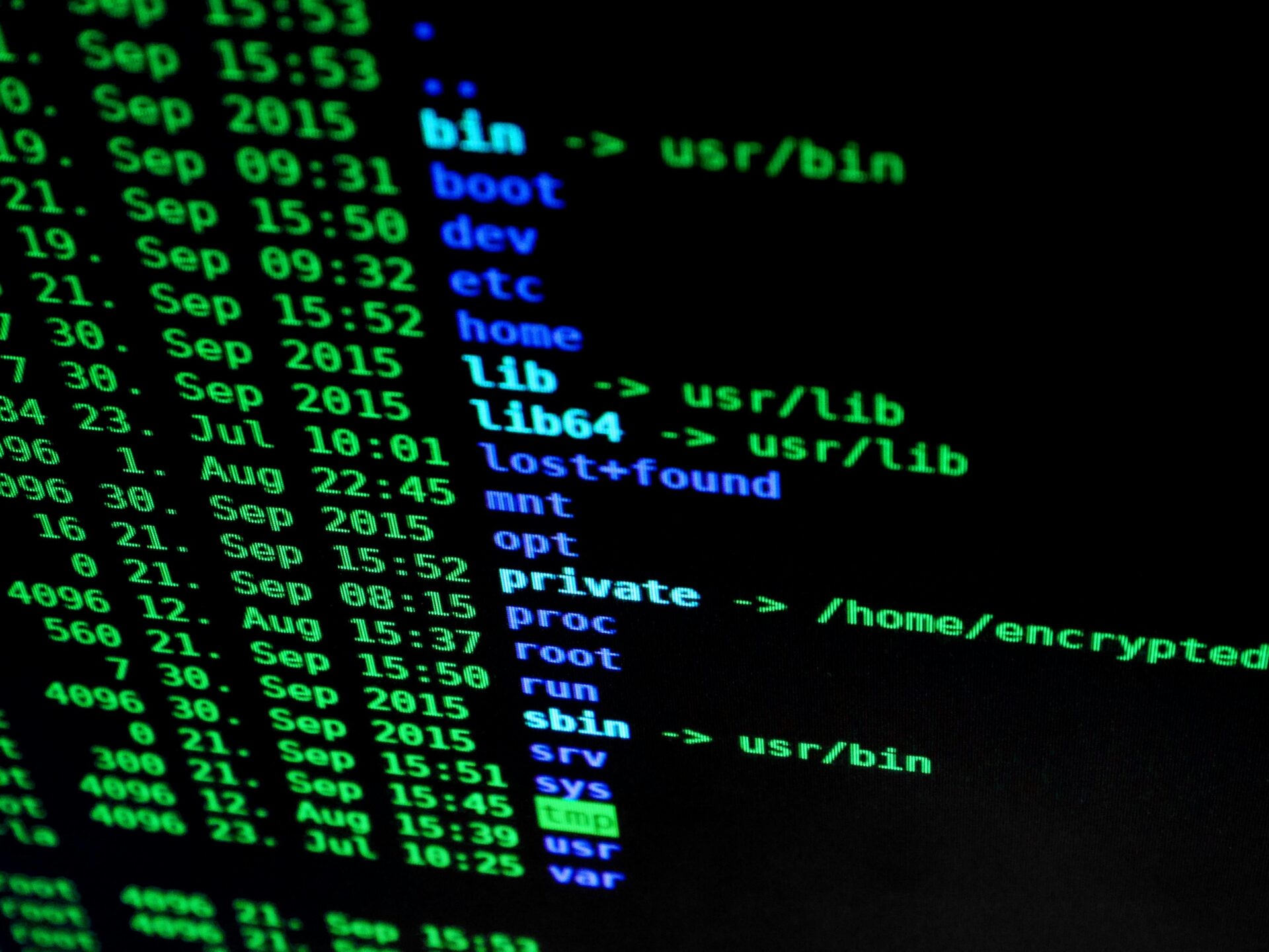Scopri di più sull'articolo Bozza DdL “Disposizioni in materia di rafforzamento della cybersicurezza nazionale e di reati informatici” bollinato